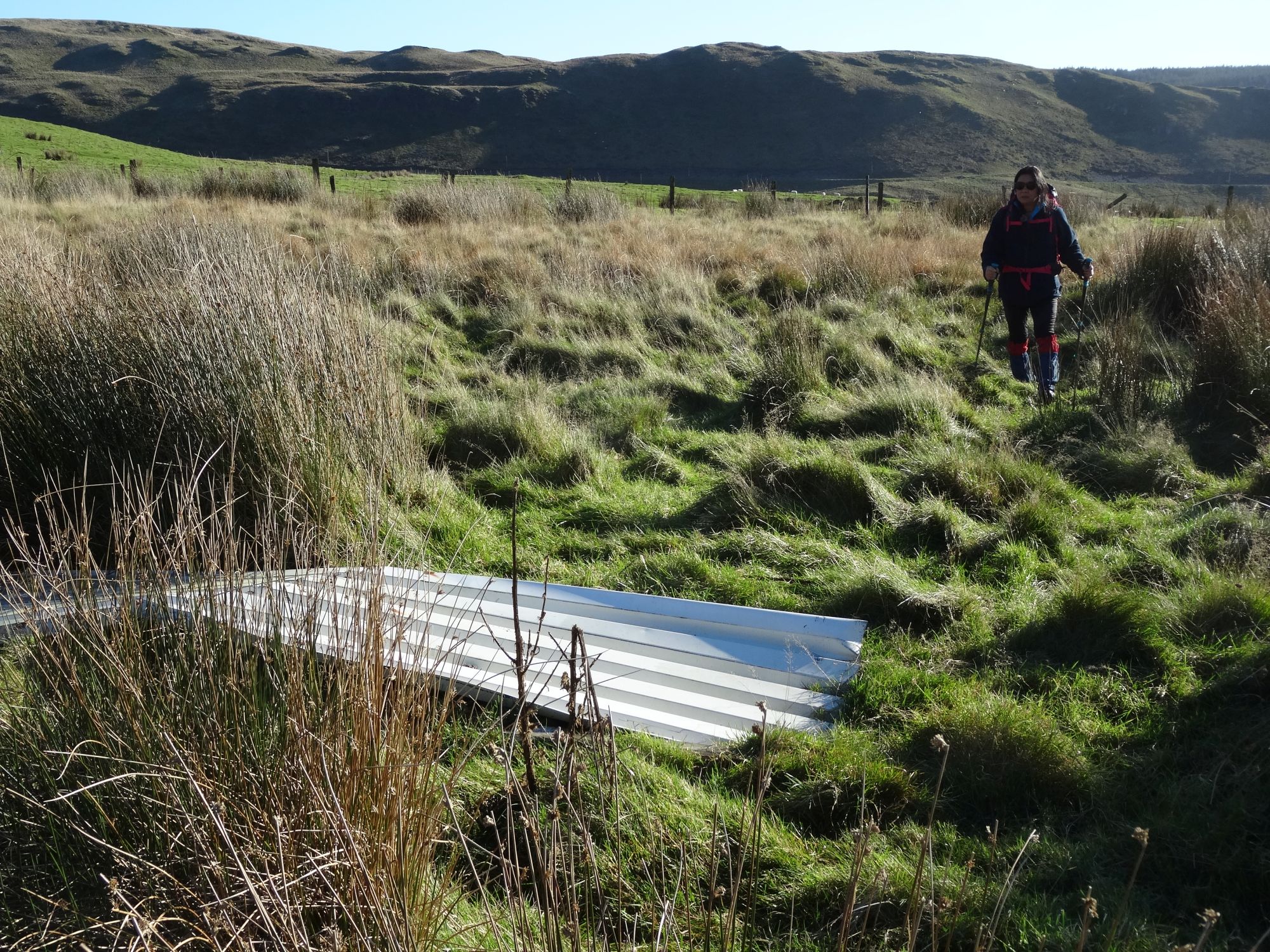 RachelSeabrook.net | Wild Walking | Moel y Llyn | pic14